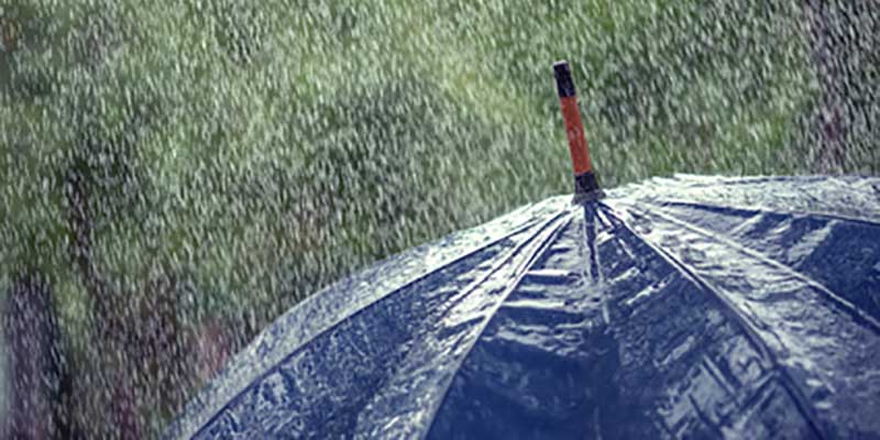 umbrella