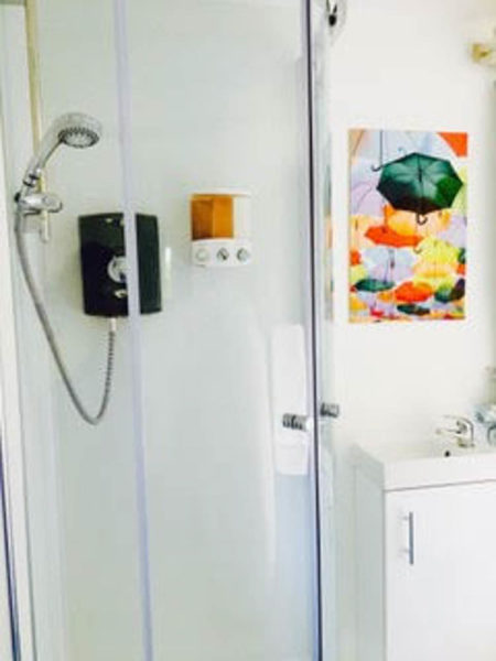 A modern shower room has been created